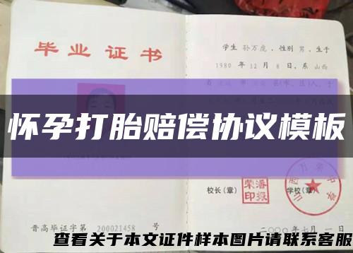 怀孕打胎赔偿协议模板缩略图