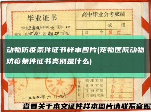 动物防疫条件证书样本图片(宠物医院动物防疫条件证书类别是什么)缩略图