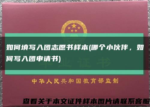 如何填写入团志愿书样本(哪个小伙伴，如何写入团申请书)缩略图