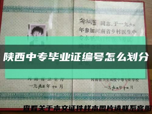 陕西中专毕业证编号怎么划分缩略图