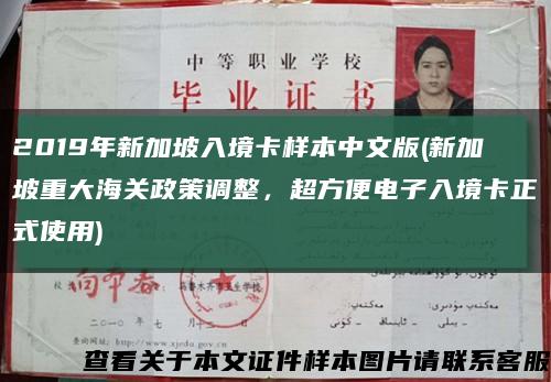 2019年新加坡入境卡样本中文版(新加坡重大海关政策调整，超方便电子入境卡正式使用)缩略图
