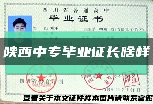 陕西中专毕业证长啥样缩略图
