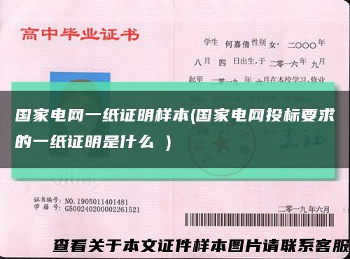 国家电网一纸证明样本(国家电网投标要求的一纸证明是什么 )缩略图