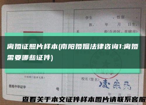 离婚证照片样本(南阳婚姻法律咨询1:离婚需要哪些证件)缩略图