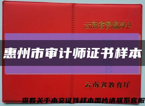 惠州市审计师证书样本缩略图
