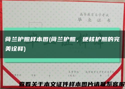 荷兰护照样本图(荷兰护照，硬核护照的完美诠释)缩略图