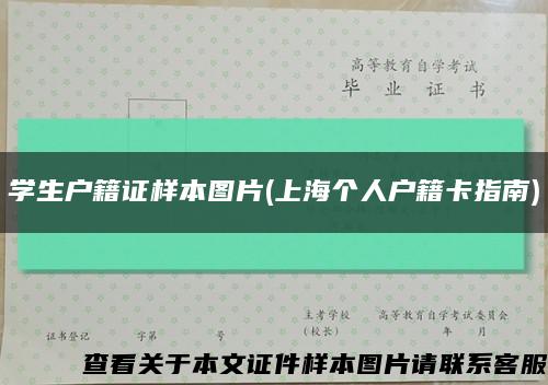 学生户籍证样本图片(上海个人户籍卡指南)缩略图