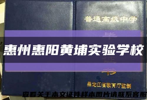 惠州惠阳黄埔实验学校缩略图