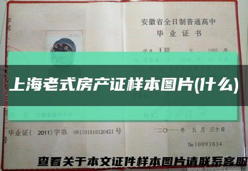 上海老式房产证样本图片(什么)缩略图