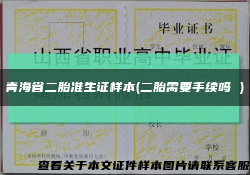 青海省二胎准生证样本(二胎需要手续吗 )缩略图