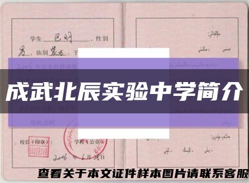 成武北辰实验中学简介缩略图