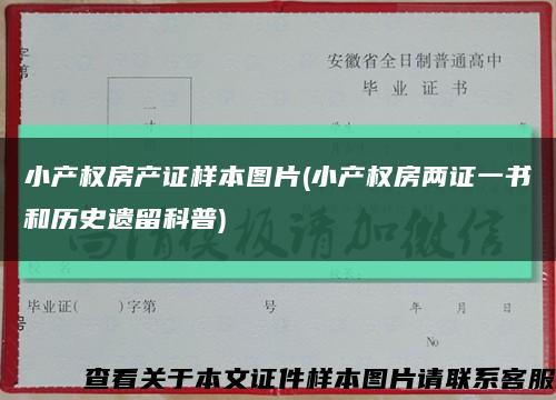 小产权房产证样本图片(小产权房两证一书和历史遗留科普)缩略图