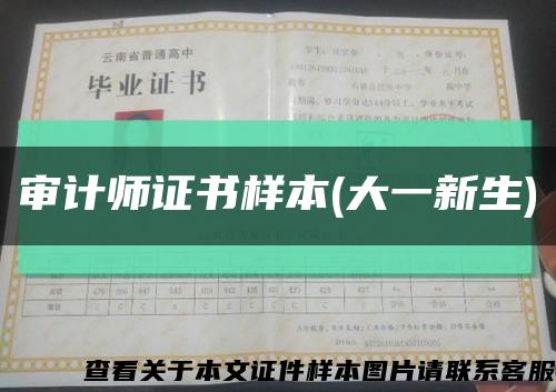 审计师证书样本(大一新生)缩略图