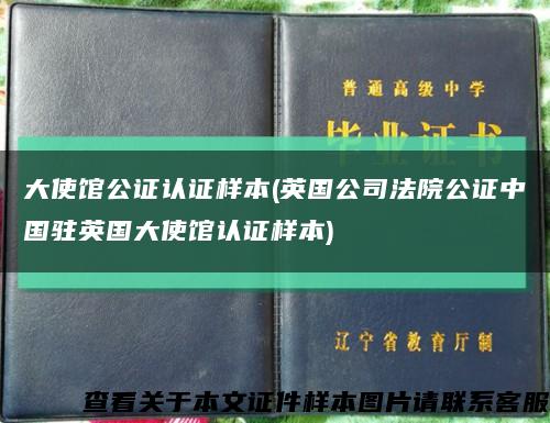 大使馆公证认证样本(英国公司法院公证中国驻英国大使馆认证样本)缩略图