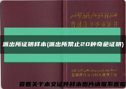 派出所证明样本(派出所禁止20种奇葩证明)缩略图