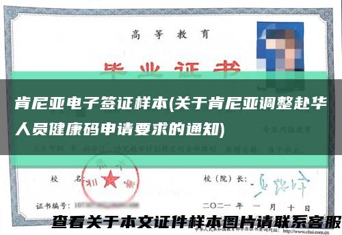 肯尼亚电子签证样本(关于肯尼亚调整赴华人员健康码申请要求的通知)缩略图