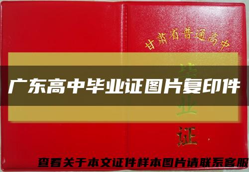 广东高中毕业证图片复印件缩略图