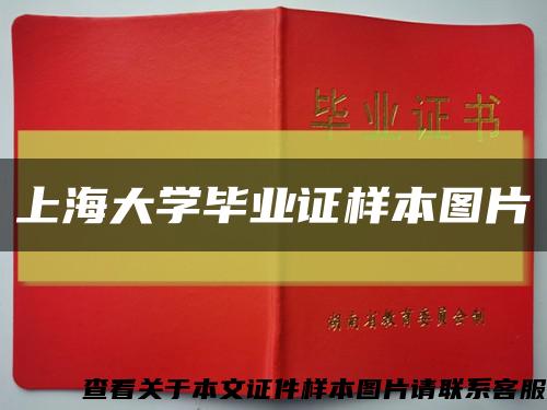 上海大学毕业证样本图片缩略图