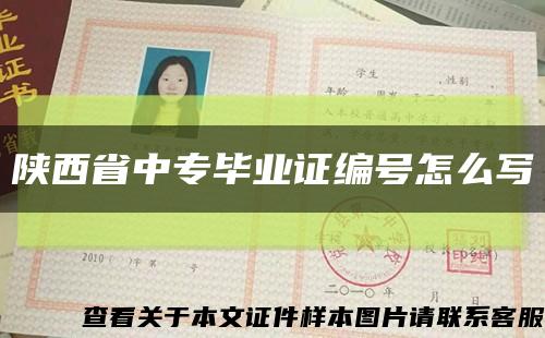 陕西省中专毕业证编号怎么写缩略图