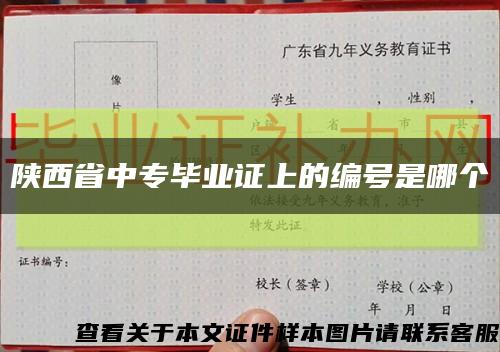 陕西省中专毕业证上的编号是哪个缩略图