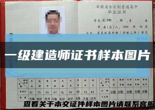 一级建造师证书样本图片缩略图