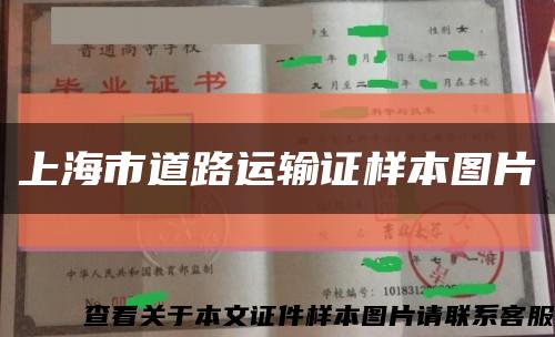 上海市道路运输证样本图片缩略图