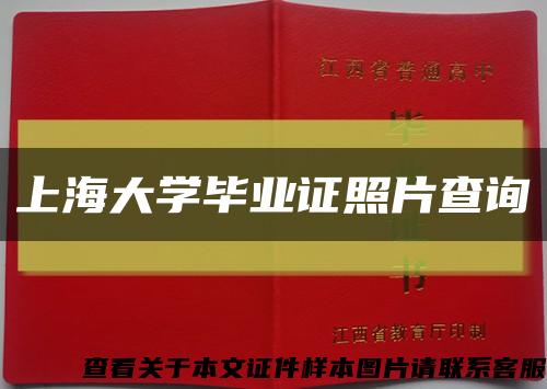 上海大学毕业证照片查询缩略图