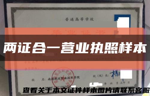 两证合一营业执照样本缩略图