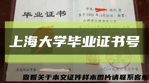 上海大学毕业证书号缩略图