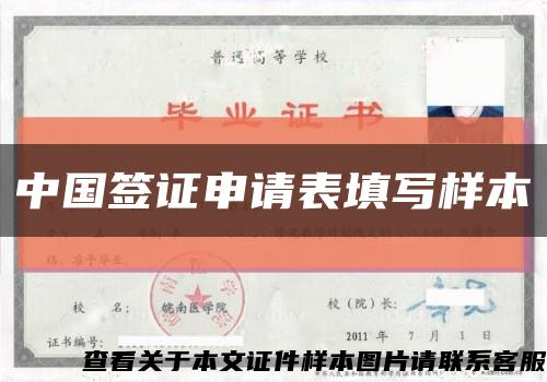 中国签证申请表填写样本缩略图