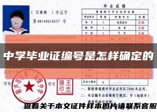 中学毕业证编号是怎样确定的缩略图