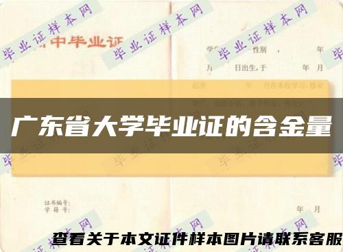 广东省大学毕业证的含金量缩略图