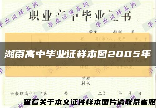 湖南高中毕业证样本图2005年缩略图