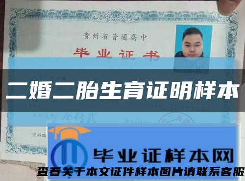 二婚二胎生育证明样本缩略图