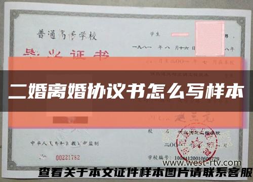 二婚离婚协议书怎么写样本缩略图