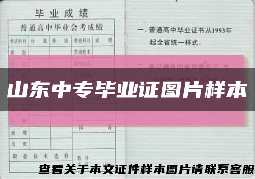 山东中专毕业证图片样本缩略图