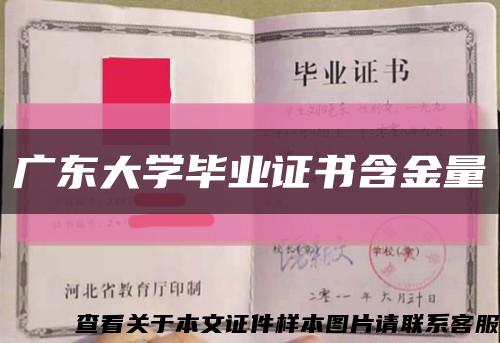 广东大学毕业证书含金量缩略图