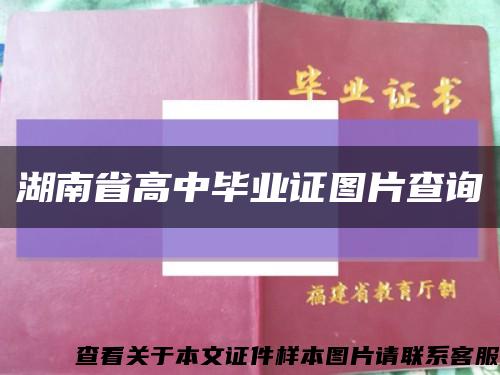 湖南省高中毕业证图片查询缩略图