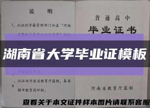湖南省大学毕业证模板缩略图
