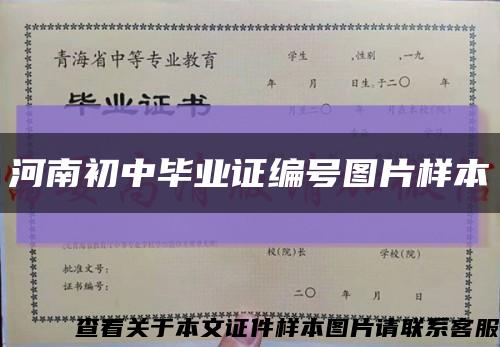 河南初中毕业证编号图片样本缩略图