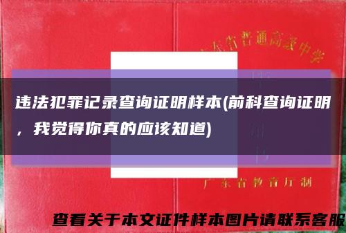 违法犯罪记录查询证明样本(前科查询证明，我觉得你真的应该知道)缩略图