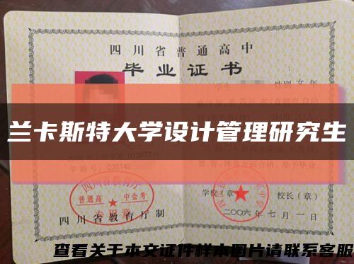 兰卡斯特大学设计管理研究生缩略图