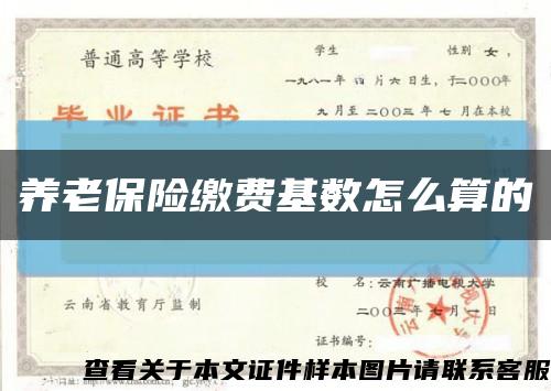 养老保险缴费基数怎么算的缩略图