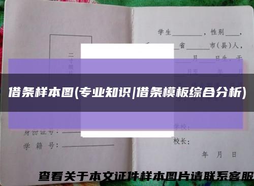 借条样本图(专业知识|借条模板综合分析)缩略图