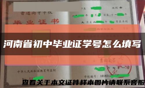 河南省初中毕业证学号怎么填写缩略图