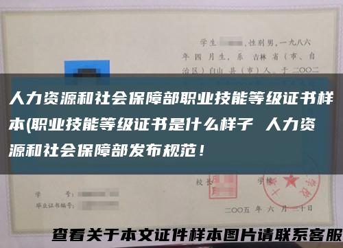人力资源和社会保障部职业技能等级证书样本(职业技能等级证书是什么样子 人力资源和社会保障部发布规范！缩略图