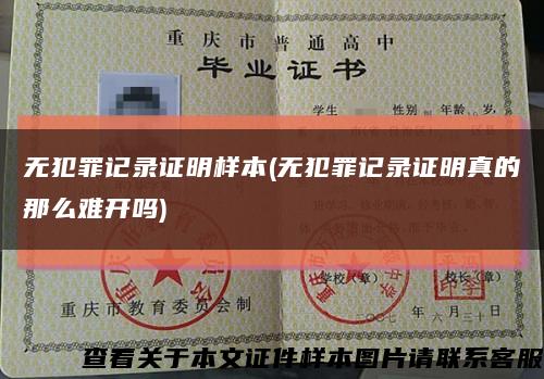 无犯罪记录证明样本(无犯罪记录证明真的那么难开吗)缩略图