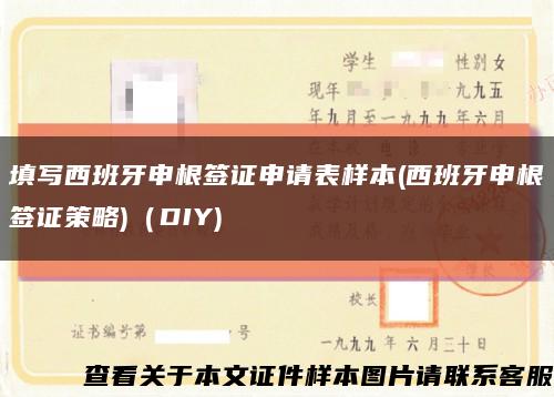 填写西班牙申根签证申请表样本(西班牙申根签证策略)（DIY)缩略图