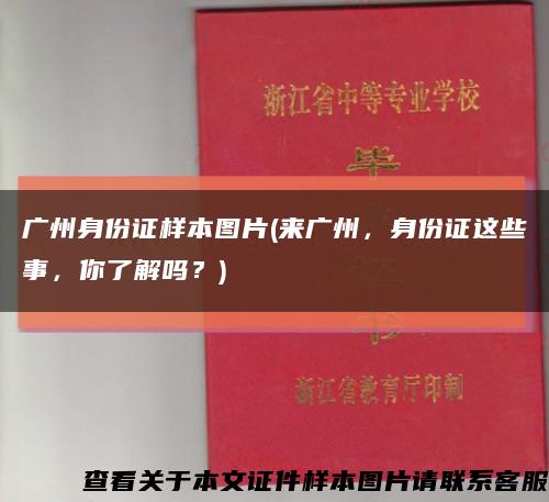广州身份证样本图片(来广州，身份证这些事，你了解吗？)缩略图