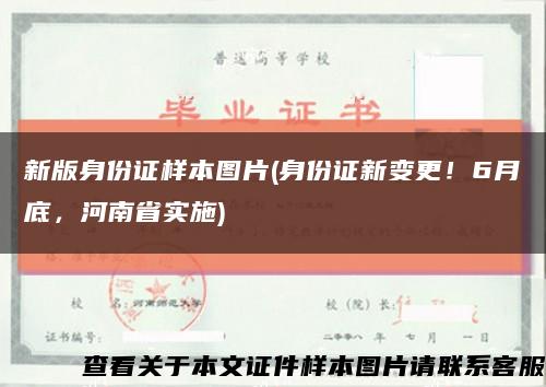 新版身份证样本图片(身份证新变更！6月底，河南省实施)缩略图